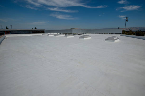 Best Emergency Roof Repair  in Warrensburg, IL