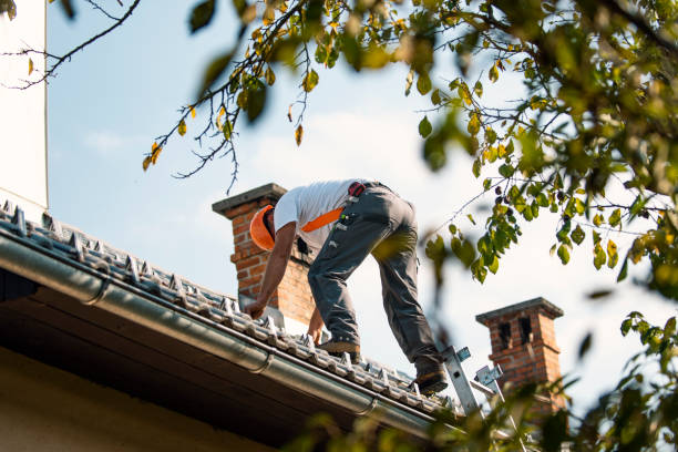Fast & Reliable Emergency Roof Repairs in Warrensburg, IL